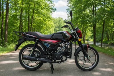 Мопед Racer RC50-V Beta M1/C1+ (черный )