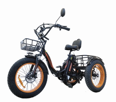 Kugoo Trike