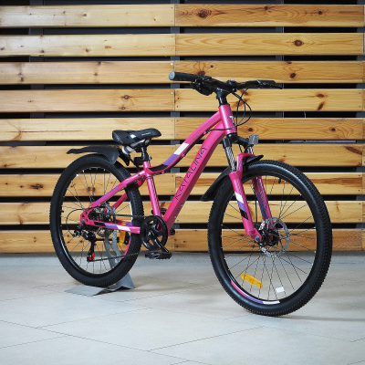 24" Вел-д TechTeam Katalina МАРКИРОВКА (13'' розовый )