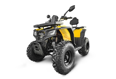 Квадроцикл Progasi RaceJumper 200 SE (Fluo yellow)
