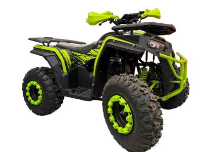 Квадроцил Racer PRO XTS FreeLander 200  (зеленый)