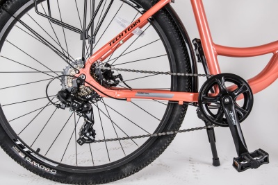 s3 multimedia-a 6560384866.jpg