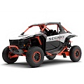 Мотовездеходы SSV UTV